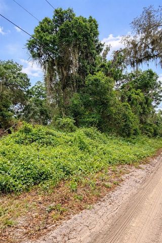 TBD NE 52ND COURT, Anthony, FL 32617