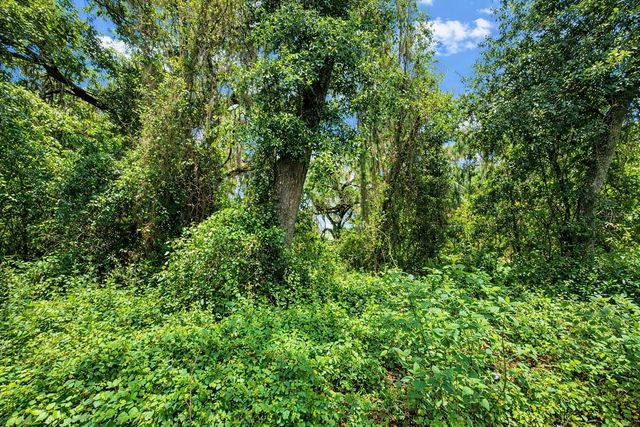 TBD NE 52ND COURT, Anthony, FL 32617