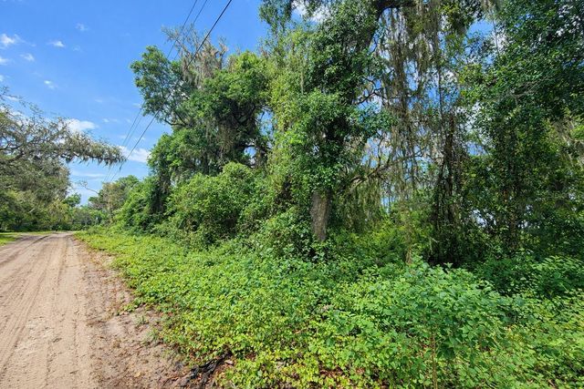 TBD NE 52ND COURT, Anthony, FL 32617