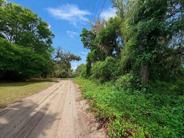TBD NE 52ND COURT, Anthony, FL 32617