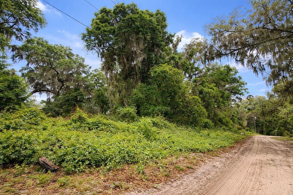 TBD NE 52ND COURT, Anthony, FL 32617