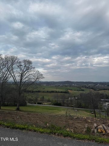 Tbd Free Hill Extension, Johnson City, TN 37615
