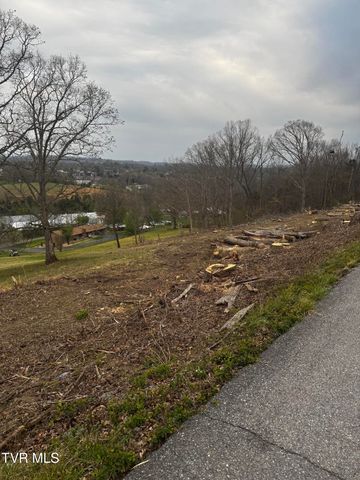 Tbd Free Hill Extension, Johnson City, TN 37615