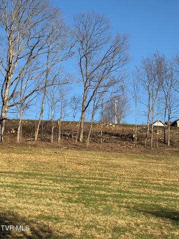 Tbd Free Hill Extension, Johnson City, TN 37615