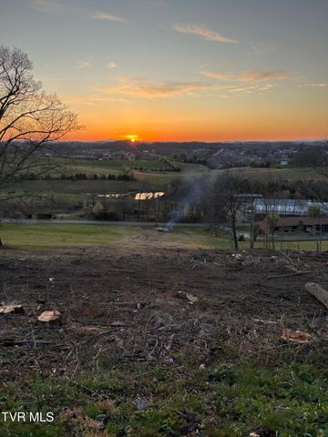 Tbd Free Hill Extension, Johnson City, TN 37615