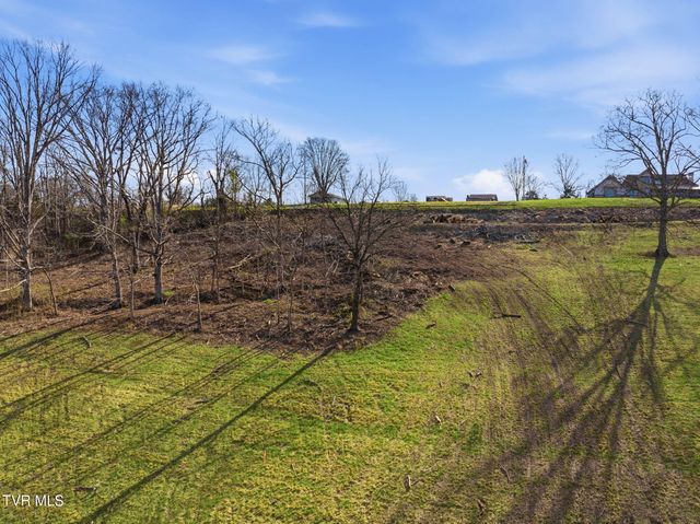 Tbd Free Hill Extension, Johnson City, TN 37615