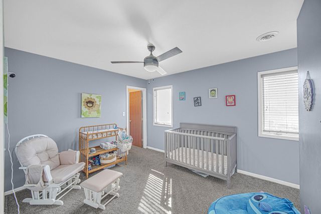 225 Beiriger Drive, Dyer, IN 46311