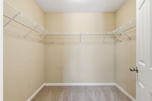 3009 Everleigh Pl, Spring Hill, TN 37174