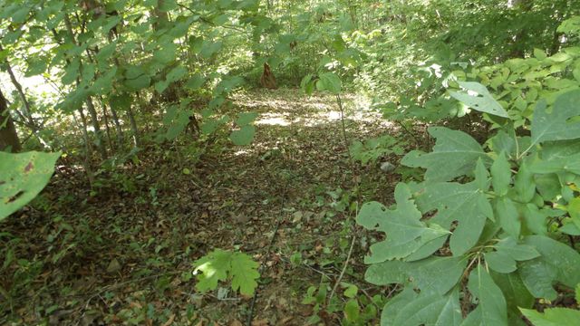 4179 Old Livingston Hwy, Celina, TN 38551