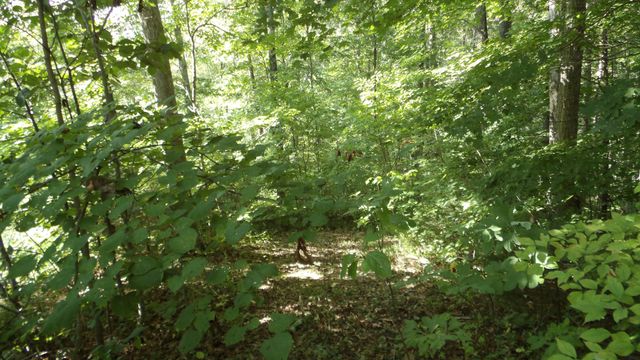 4179 Old Livingston Hwy, Celina, TN 38551