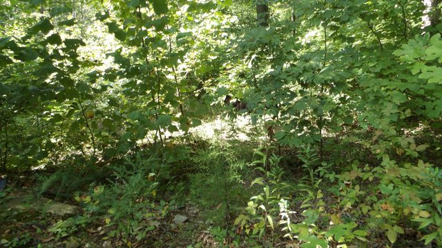 4179 Old Livingston Hwy, Celina, TN 38551