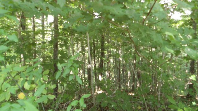 4179 Old Livingston Hwy, Celina, TN 38551