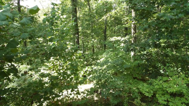 4179 Old Livingston Hwy, Celina, TN 38551