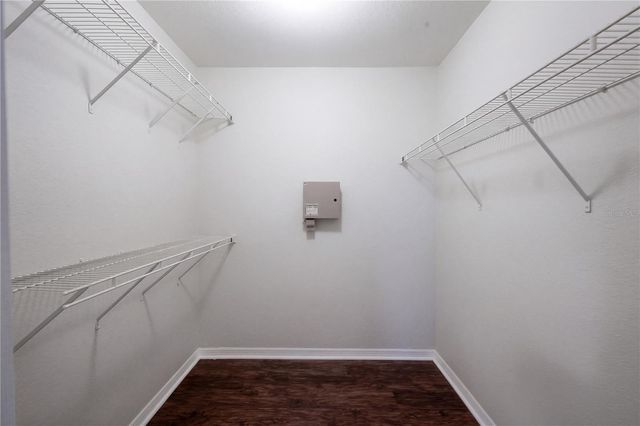 8825 LATREC AVENUE 6105, Orlando, FL 32819