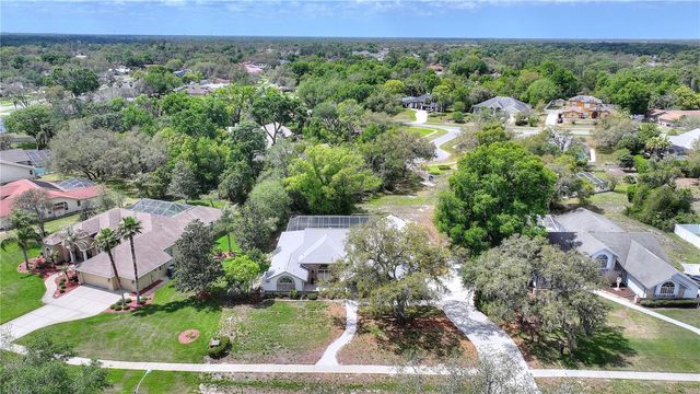 419 SILAS COURT, Spring Hill, FL 34609