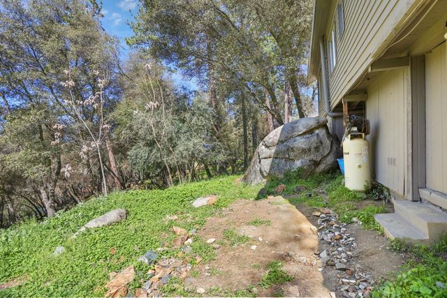22971 Moss Ln, River Pines, CA 95675