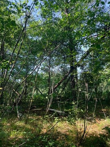 000 University Avenue, Isanti, MN 55040