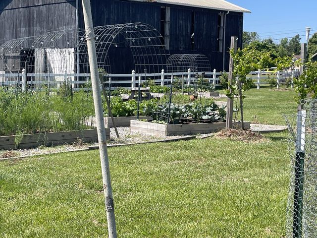 805A Jackson Rd, Portland, TN 37148