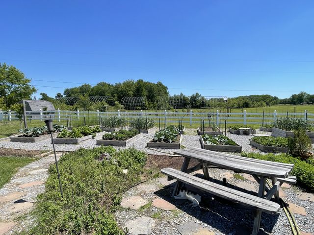 805A Jackson Rd, Portland, TN 37148