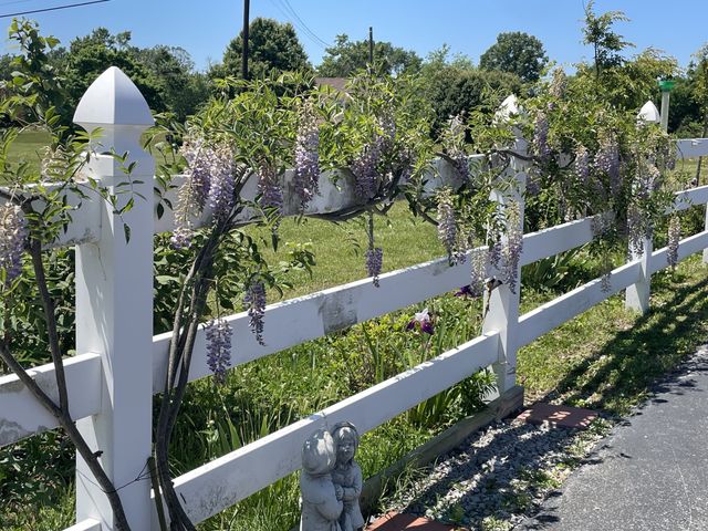 805A Jackson Rd, Portland, TN 37148