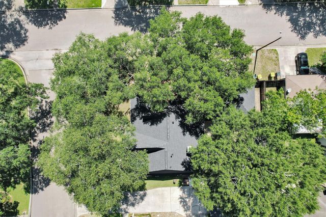10 Brewster Street, Conroe, TX 77301