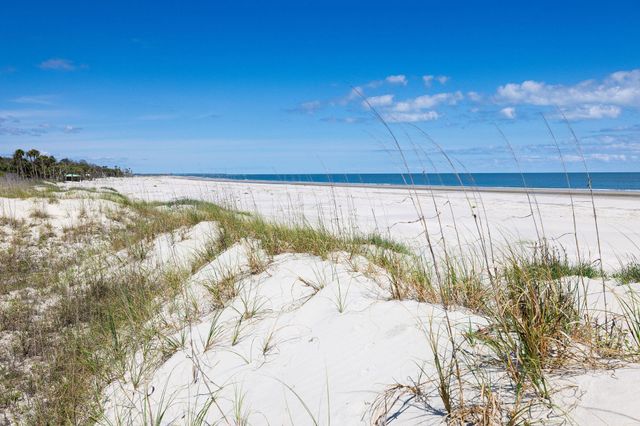 287 Pelican Flight Drive Lot 14, Dewees Island, SC 29451