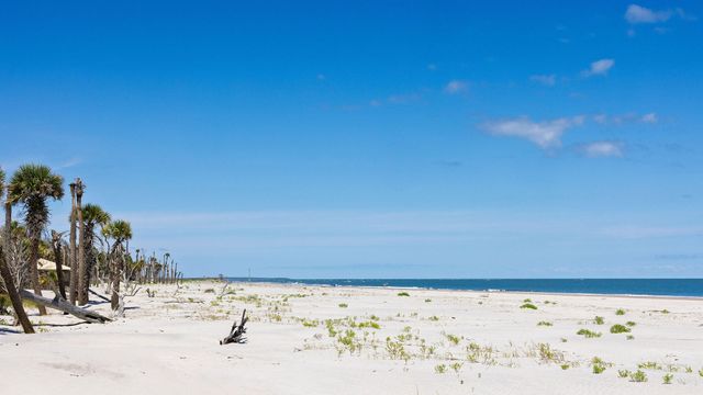 287 Pelican Flight Drive Lot 14, Dewees Island, SC 29451