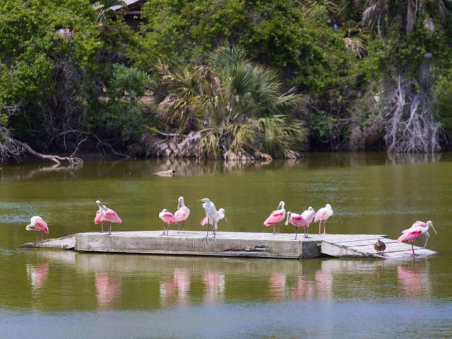 287 Pelican Flight Drive Lot 14, Dewees Island, SC 29451