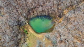 283 Dyestone Springs Road, Hohenwald, TN 38462