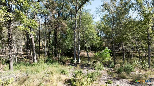 204 Little Branch Lane, Cameron, TX 76520