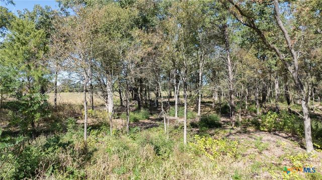 204 Little Branch Lane, Cameron, TX 76520