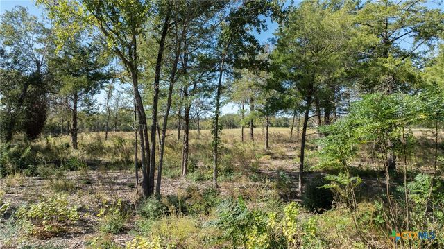 204 Little Branch Lane, Cameron, TX 76520