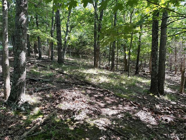4567 Thunder Ridge Road, Wildwood, MO 63025