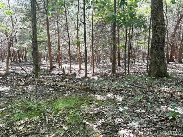 4567 Thunder Ridge Road, Wildwood, MO 63025