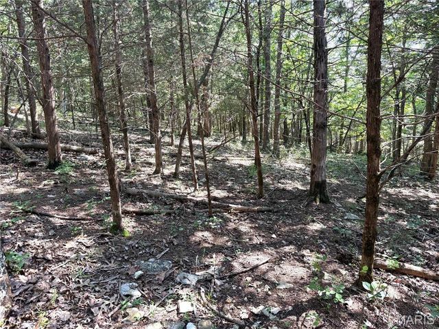 4567 Thunder Ridge Road, Wildwood, MO 63025