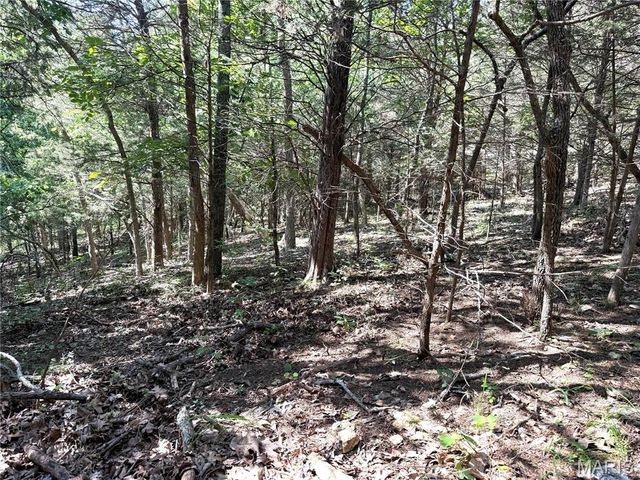 4567 Thunder Ridge Road, Wildwood, MO 63025