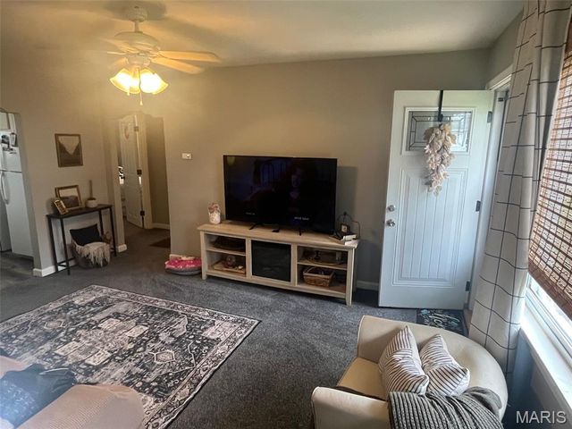 701 Bonnie Street, Potosi, MO 63664