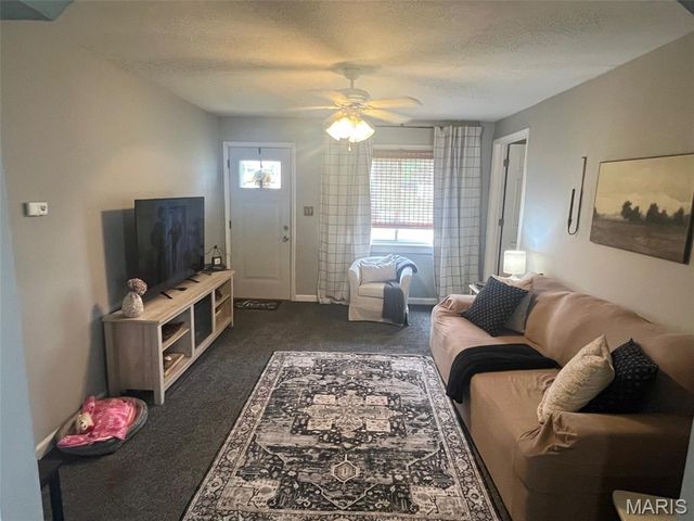 701 Bonnie Street, Potosi, MO 63664