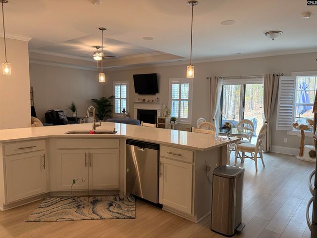 276 Murray Falls Lane, Chapin, SC 29036