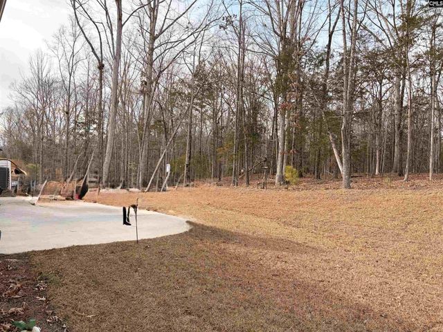 276 Murray Falls Lane, Chapin, SC 29036