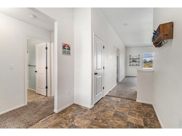 586 Cherryridge Dr, Windsor, CO 80550