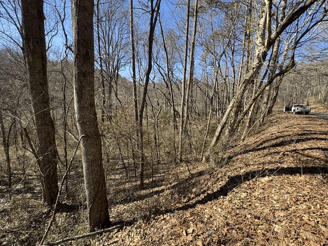 00 Heaton Road, Marble, NC 28905