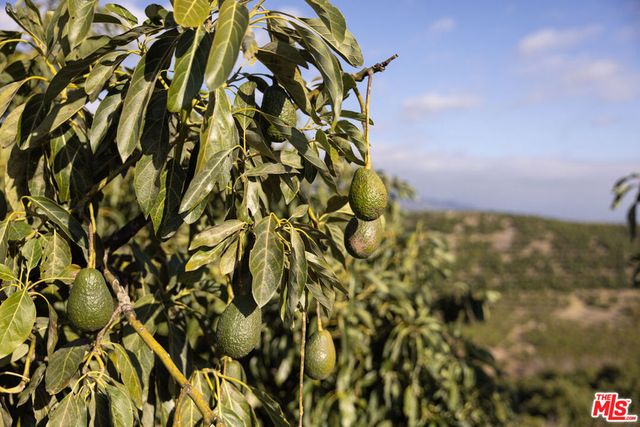 1500 Camino Meleno, Santa Barbara, CA 93111