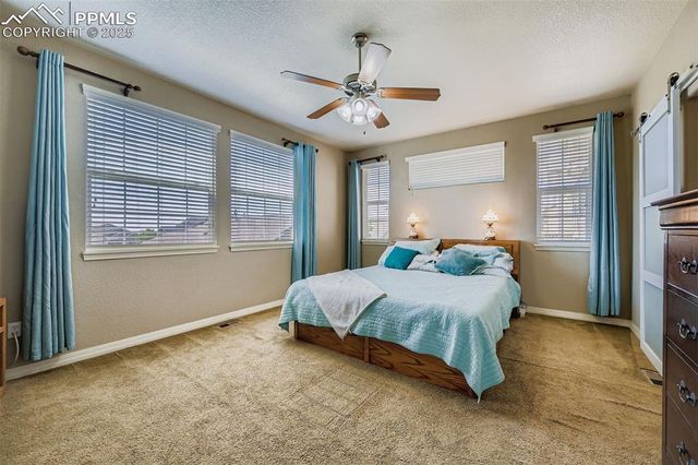 8099 Hollygrape Lane, Colorado Springs, CO 80927