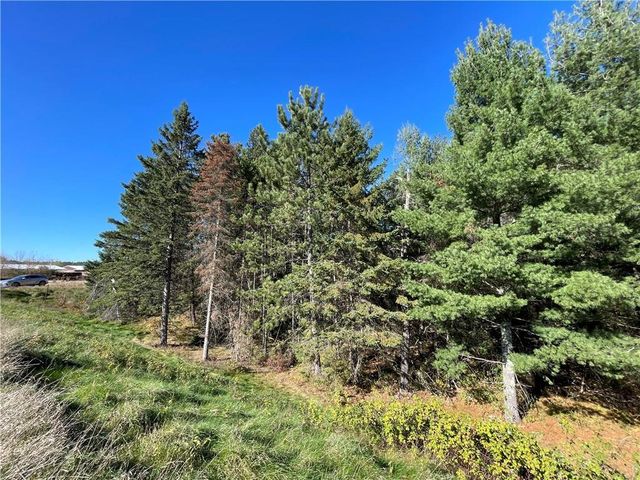 0 Heinz Road, Hayward, WI 54843