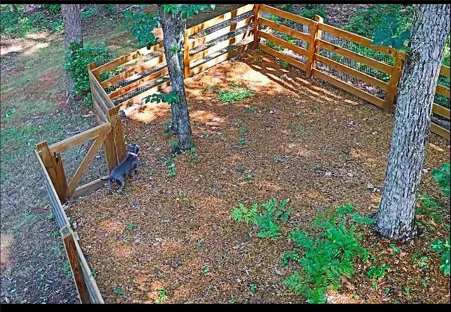 225 Overlook Circle, Clarkesville, GA 30523