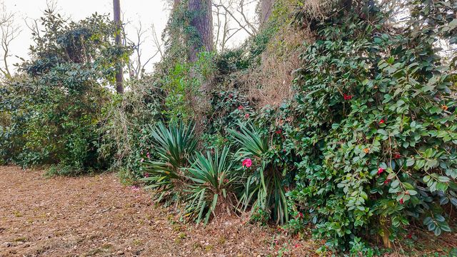 202 Quaker Street, Saint George, SC 29477