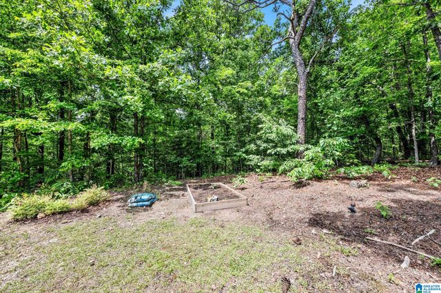 6113 FAWNHURST DRIVE, Anniston, AL 36206