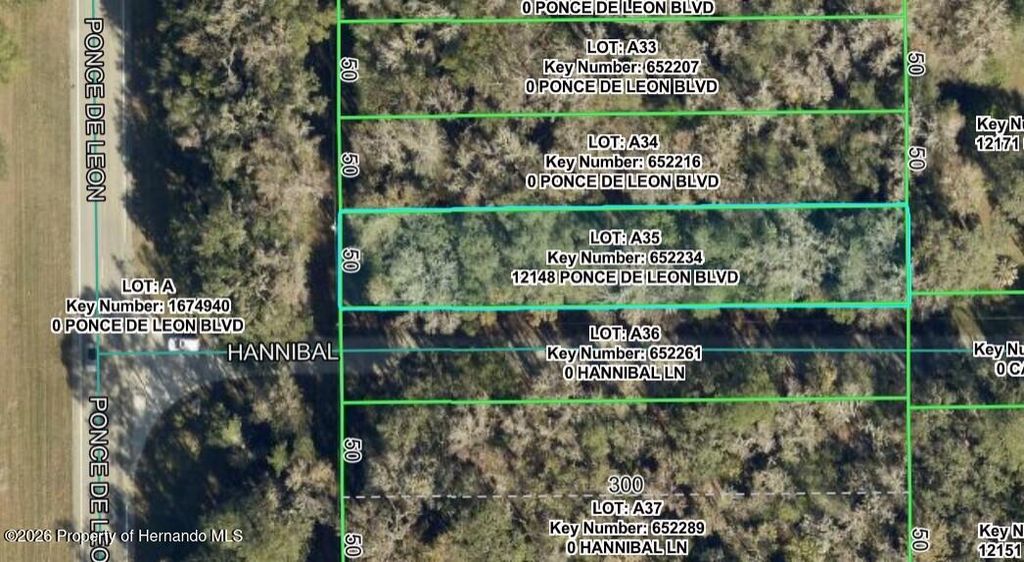 12148 Ponce De Leon Boulevard, Brooksville, FL 34601