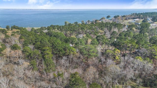 243 Silver Hickory Drive, Coldspring, TX 77331